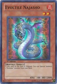 Evoltile Najasho: Order of Chaos
