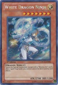White Dragon Ninja: Order of Chaos