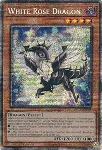 White Rose Dragon: 2025 Mega-Pack