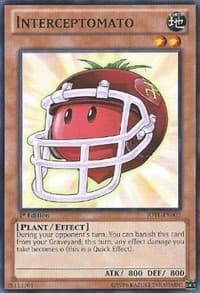 Interceptomato: Judgment of the Light