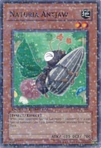 Naturia Antjaw: Duel Terminal 2